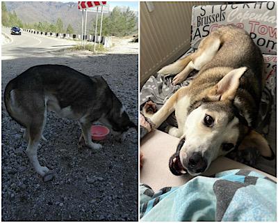 Spencer: Z horské silnice na gauč