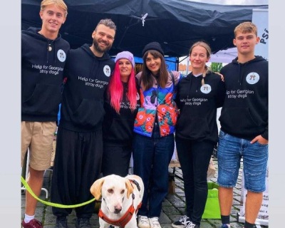 Psí tuláci z Gruzie na Veggie Náplavce