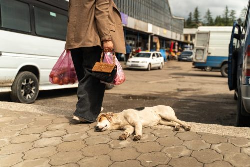 V okolí bazaaru je vždy spousta tuláků