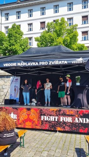 Pořadatelé nás pozvali i na krátký rozhovor
