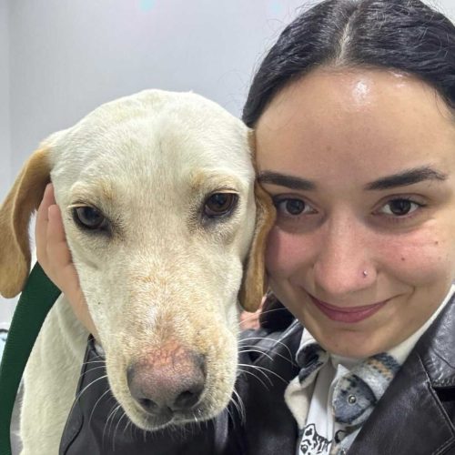 Dobby loučící se s Mariam