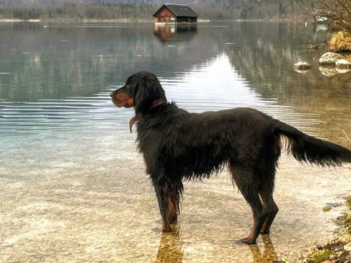 A Freya dnes, kdy našla svůj nový domov