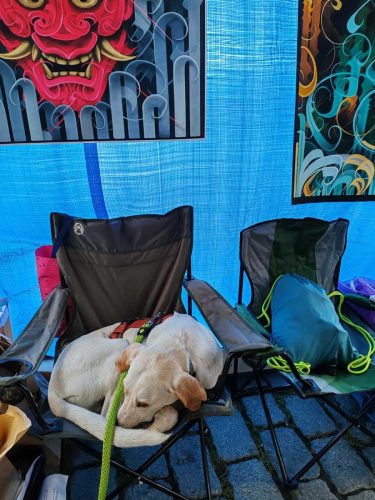 Doby si rychle našel pohodlí