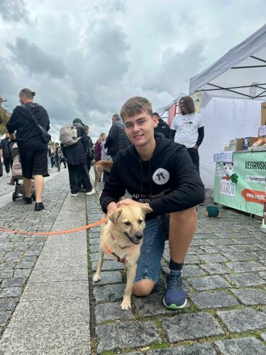 Úžasná třínohá Zuzka (dříve Kuzya), bývalý tulák z Gruzie