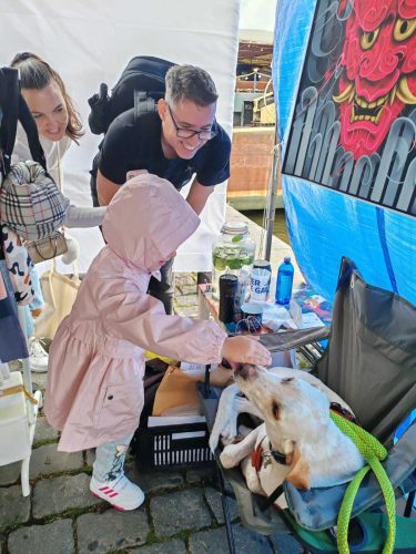 Dobby je pro děti jako magnet