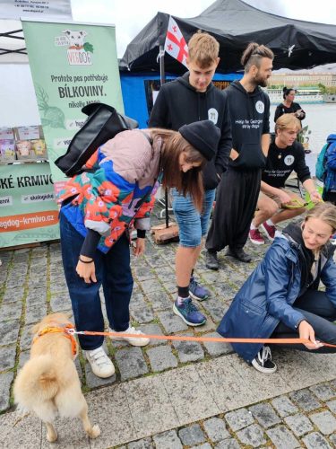 Pomoci nám zaskočila i naše Pája Dostálová